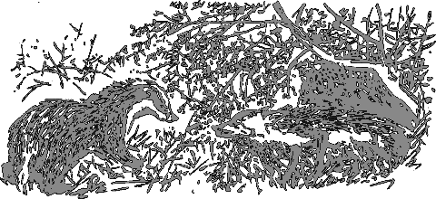 Рассказы о животных i_009.png