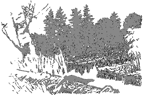 Рассказы о животных i_013.png