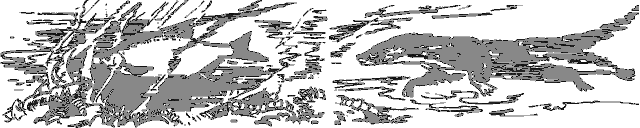 Рассказы о животных i_014.png