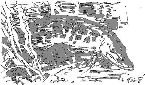Рассказы о животных i_015.png