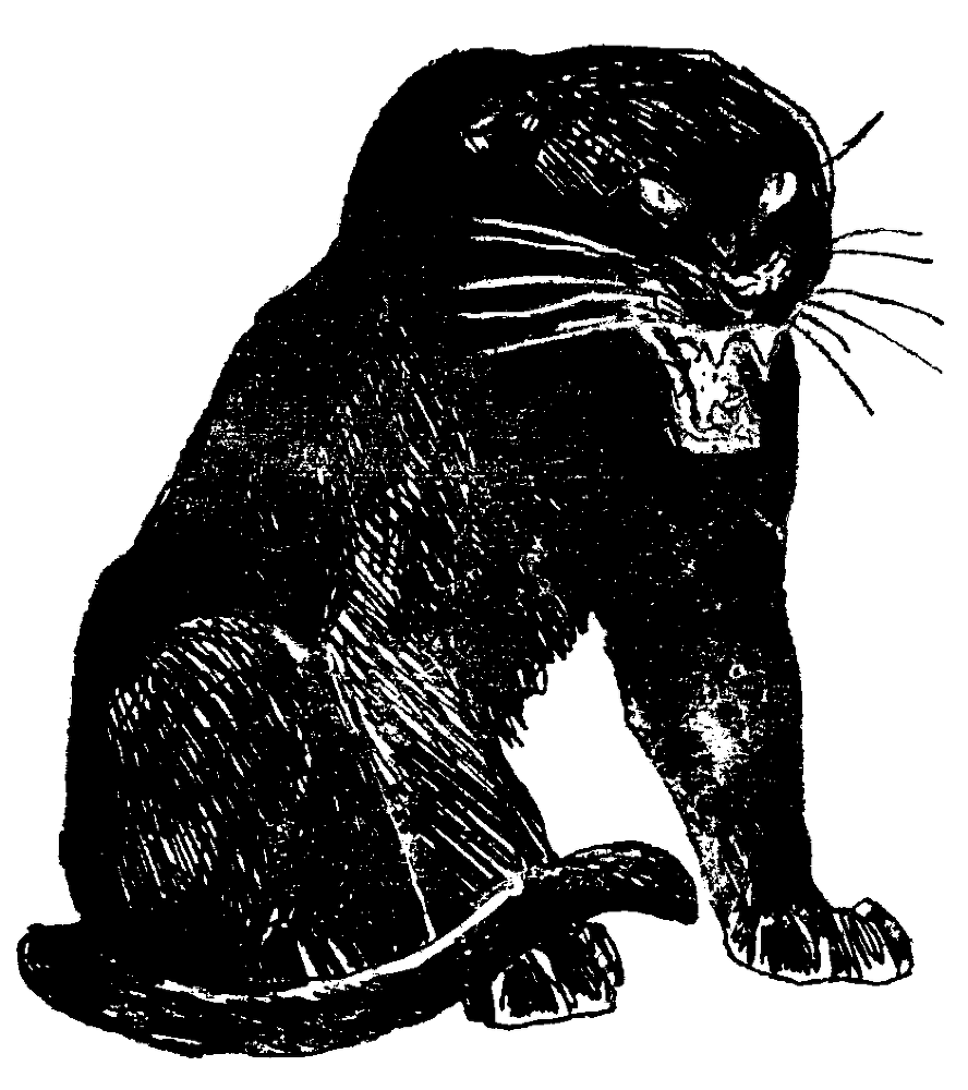 Ты покоришься мне, тигр! _30004.png