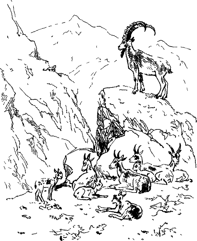 Хозяин небесных гор i_002.png