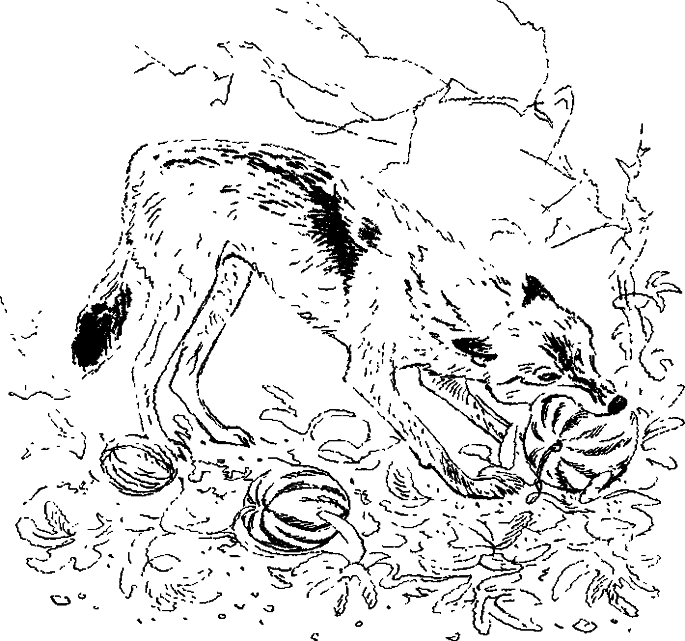 Хозяин небесных гор i_012.png