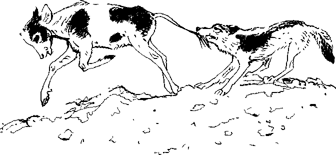 Хозяин небесных гор i_014.png