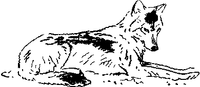 Хозяин небесных гор i_015.png