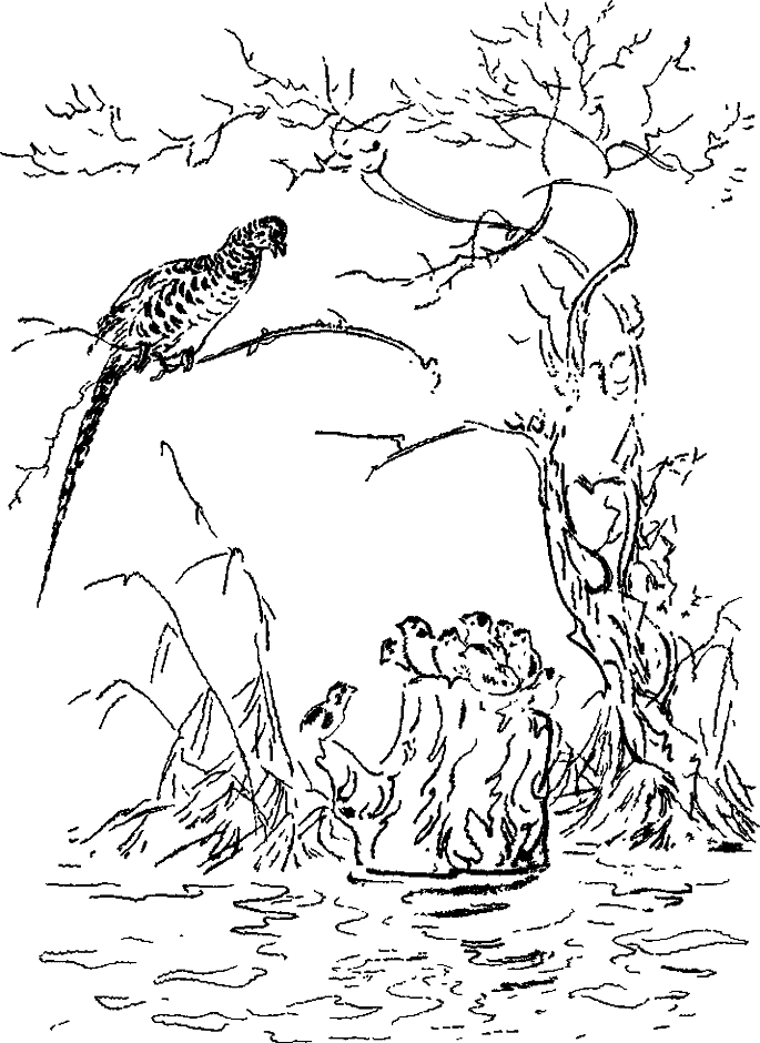 Хозяин небесных гор i_016.png