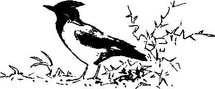 Хозяин небесных гор i_027.png