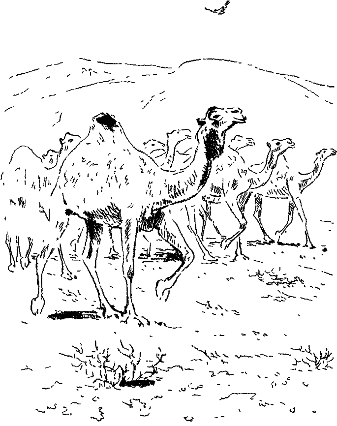 Хозяин небесных гор i_028.png