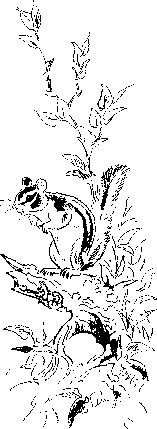 Хозяин небесных гор i_030.png