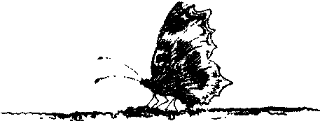 Хозяин небесных гор i_035.png