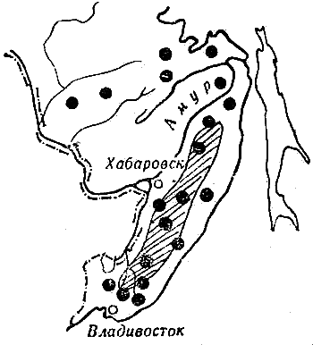 Звери у себя дома i_040.png