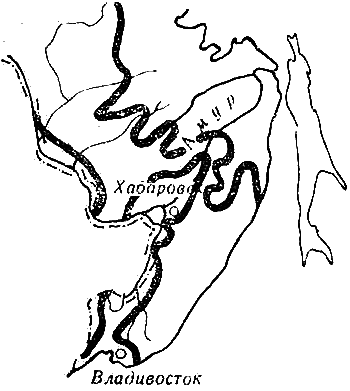 Звери у себя дома i_057.png
