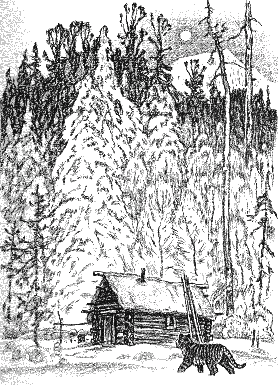 Встречи с амурским тигром i_008.png