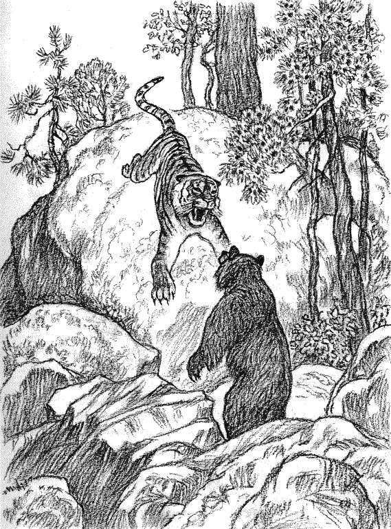 Встречи с амурским тигром i_011.png