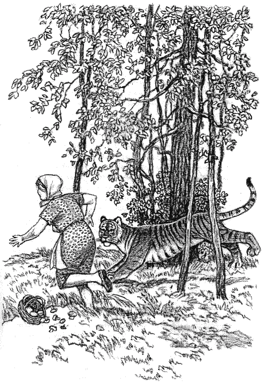 Встречи с амурским тигром i_014.png