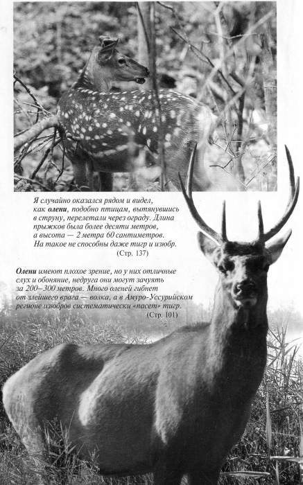 Рассказы о животных i_052.jpg