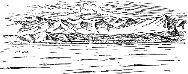 Муравей-путешественник _05.png