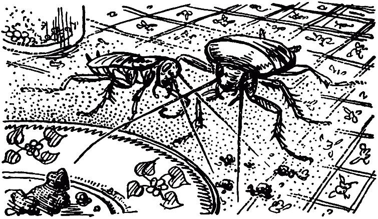 Чем питаются насекомые i_025.png