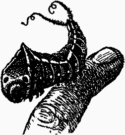 Тайны мира насекомых i_025.png