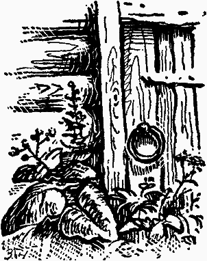 Тайны мира насекомых i_057.png