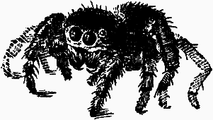 Тайны мира насекомых i_083.png