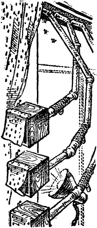 Тайны мира насекомых i_100.png