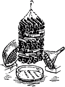 Тайны мира насекомых i_117.png