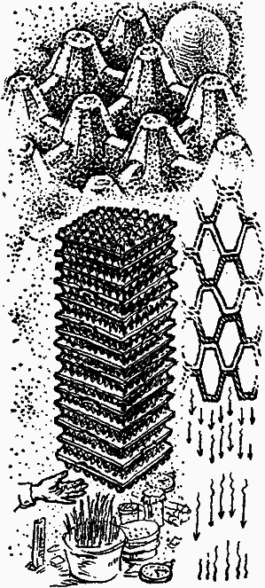 Тайны мира насекомых i_124.png