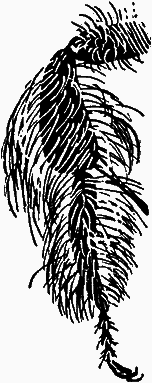 Тайны мира насекомых i_141.png