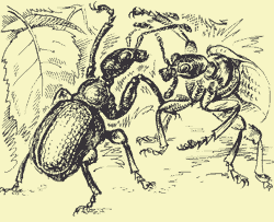 Мой мир _3_25.png