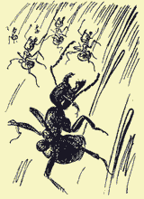 Мой мир _4_14_2.png