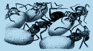 Мой мир _4_57.png