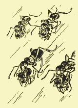 Мой мир _4_60_2.png