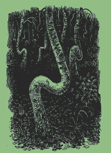 Мой мир _4_75.png