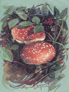 Мой мир _5_56.jpg