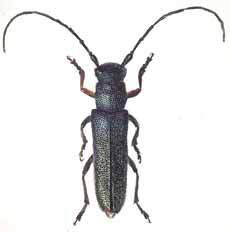 Мой мир _5a_20.jpg