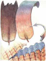 Мой мир _5a_28.jpg