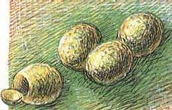 Мой мир _6_60.jpg