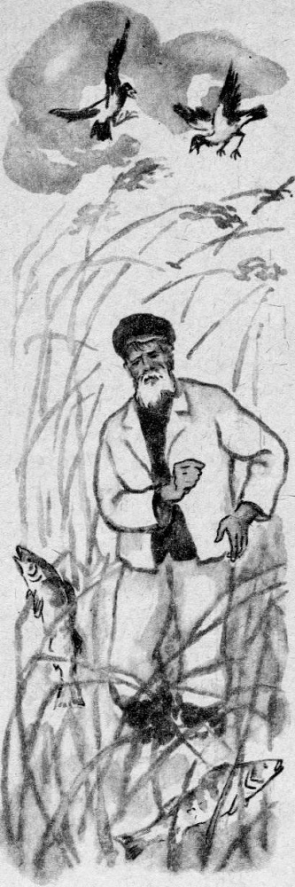 Музыкальный ручей i_042.jpg