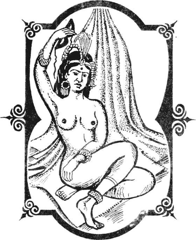 Месть Шивы. Книга 1 i_001.jpg