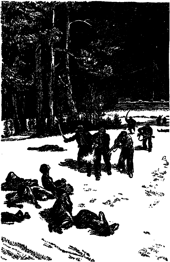 Последняя граница pic11.png