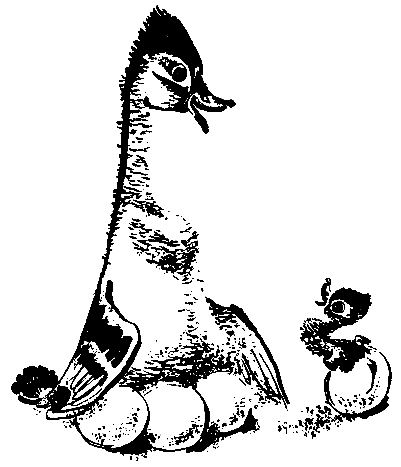 Первые испытания (с илл.) pic_2.png