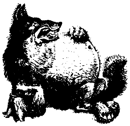 Первые испытания (с илл.) pic_4.png