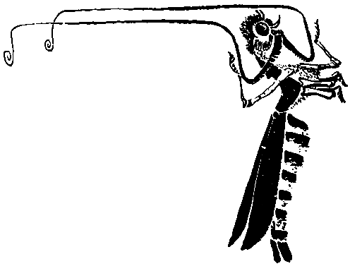 Первые испытания (с илл.) pic_11.png