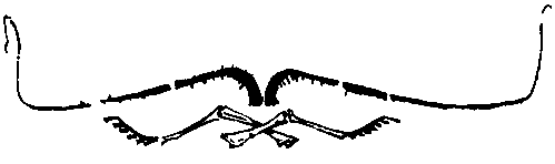 Первые испытания (с илл.) pic_12.png