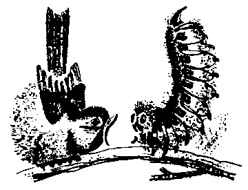 Первые испытания (с илл.) pic_14.png