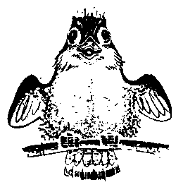 Первые испытания (с илл.) pic_15.png