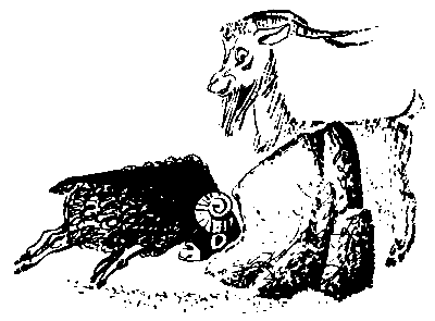 Первые испытания (с илл.) pic_16.png