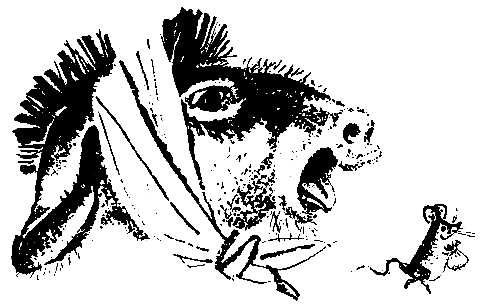 Первые испытания (с илл.) pic_17.png