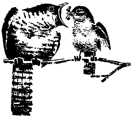 Первые испытания (с илл.) pic_18.png